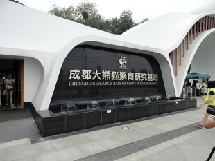 成都大熊猫繁育研究基地