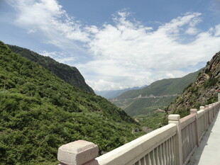 山间公路旁的葱郁美景