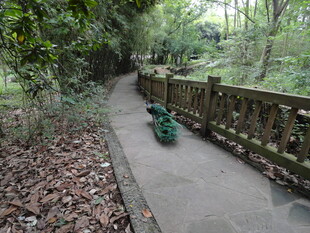 林间小径上的绿色雕塑