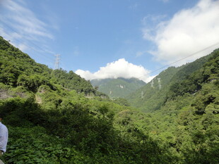 山间绿意盎然的秀丽景致