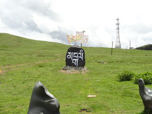 草原上的指示牌