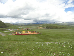 草原上的彩色图案景观