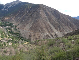 山间村落与葱郁植被景观