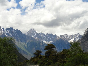 壮丽雪山与葱郁山林景观