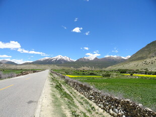 山间公路旁的田园风光