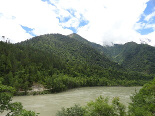 青山绿水间的河流景观