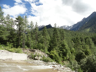 山林间的清澈溪流景观