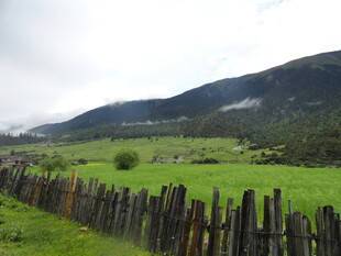 田园木栅栏 绿野青山景
