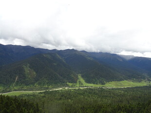 云雾缭绕的山间绿色景致