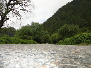 山间碎石溪流景观