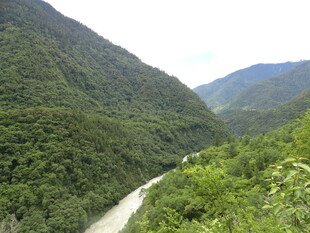 山间蜿蜒河流 绿意盎然