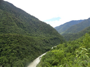 山间河谷绿意盎然景观