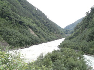 山间河流 绿意盎然的峡谷