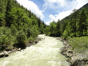 山间清澈河流与葱郁林木