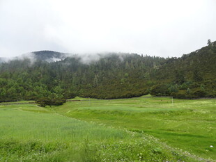 山间绿野云雾缭绕之景