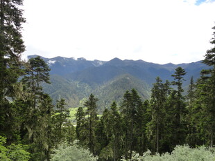 山林间的秀丽山脉风光