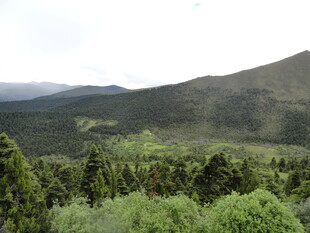 山林葱郁的自然景观