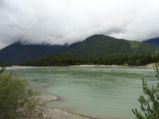 青山绿水间的宁静河流
