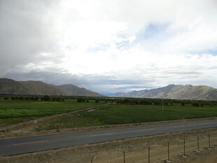 公路边的开阔自然风光