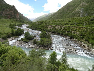 山间溪流穿林而过
