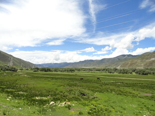 草原风光 远山蓝天相衬