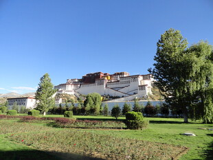 布达拉宫周边美丽景致