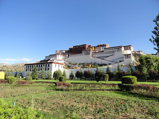 布达拉宫周边美丽景致