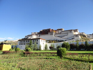 布达拉宫远景风光