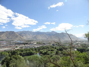 山间绿意盎然的美丽景致