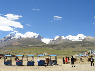 雪山下的景区观光车场景