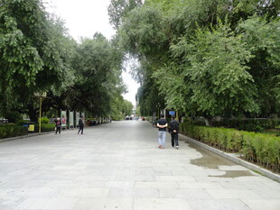 林荫小道上的漫步行人