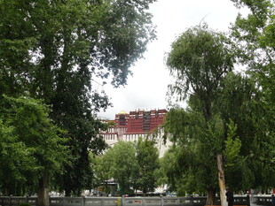 绿树掩映下的红顶建筑