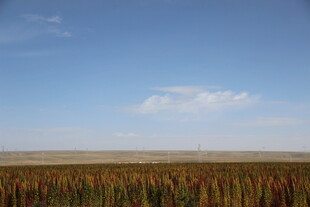 广阔田野与蓝天美景