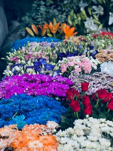 缤纷多彩花卉展示