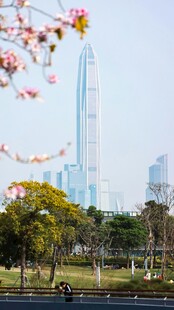 城市湖畔与摩天大楼景观
