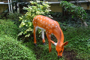 温室花境 