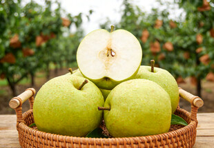 竹篮里的青皮酥梨