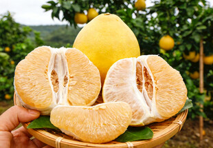 剥开的金柚