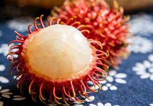 红毛丹果肉特写