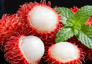 海南保亭红毛丹