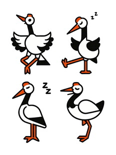 四只白鹳的趣味姿态