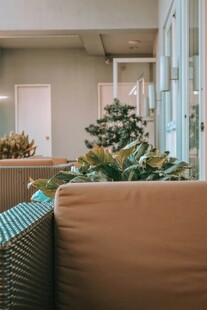 温馨室内一角绿植沙发景