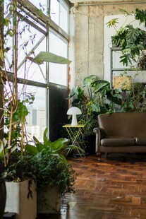 室内绿植环绕的舒适空间