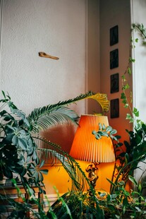 室内绿植与温馨台灯景观