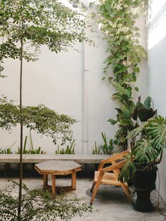 室内绿植环绕的休闲角落