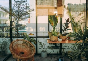 室内窗边的绿植与藤编椅