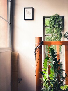 温馨室内角落绿植与装饰