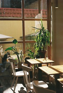 室内绿植环绕的休闲桌椅