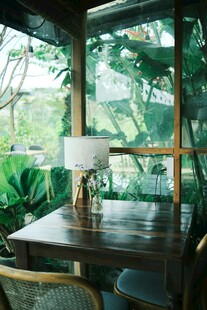 室内木质桌椅与绿植景观