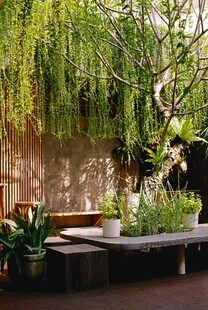 庭院绿植景观